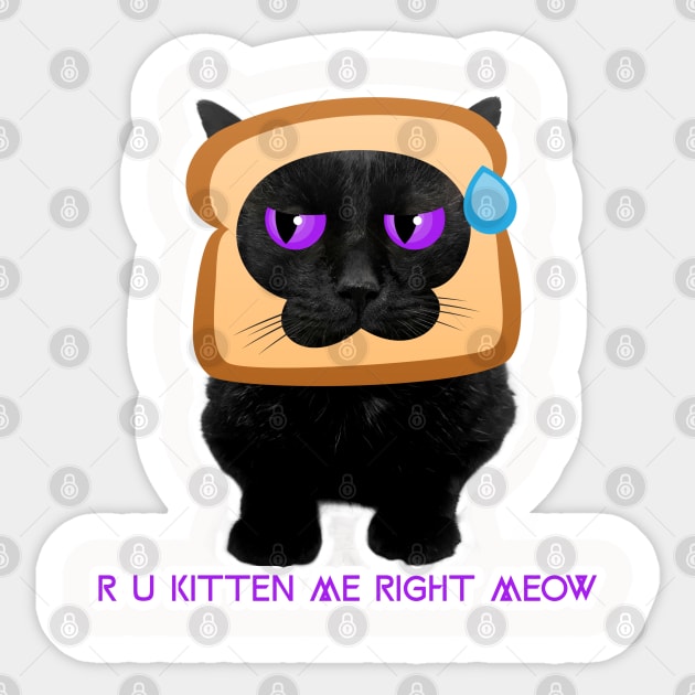 Srly? R U Kitten Me? Funny Cat Quote Sticker by DAGHO